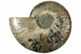 Cut & Polished Ammonite Fossil (Half) - Madagascar #310665-1